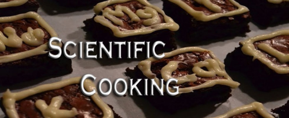 Does the Scientific Approach to Cooking Kill the Joy?