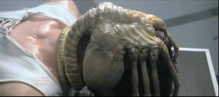 Alien facehugger