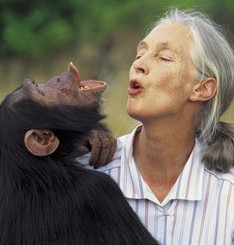 Jane Goodall with chimp