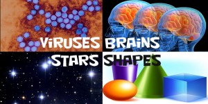 smorgasbord_stars_viruses_brains_wonderfest