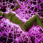 Does Social Networking Have Side Effects?