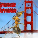 Strange Invaders: Ants, Termites, & Bedbugs