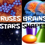 Viruses, Stars, Brains, & Shapes