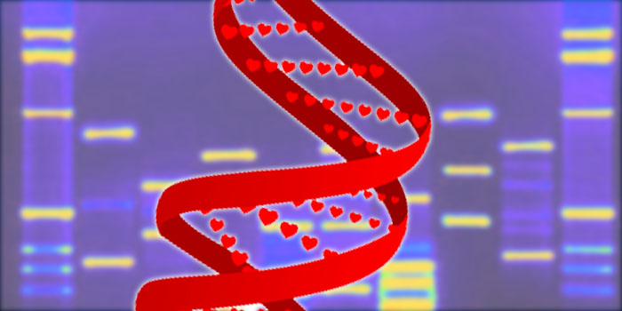 Love, Sex, & DNA