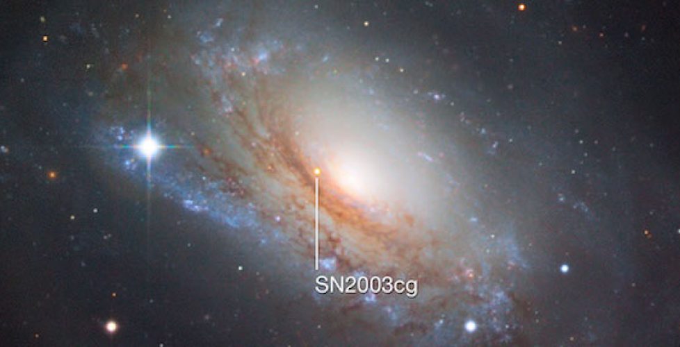 Supernova2003cg