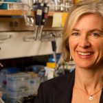 Gene Editor Wins '17 Sagan Prize, Jan 17