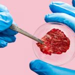 Cultured Meat – Apr 29