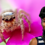 Spider Science – May 7