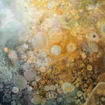 Origin of Life – Nov 18