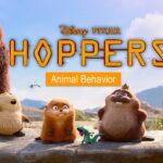 Animal Behavior – Apr 26