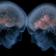 NeuralSynchrony