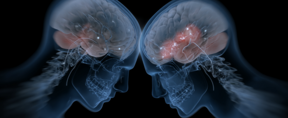 NeuralSynchrony
