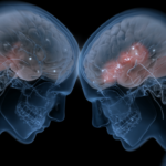 Neural Synchrony – Jul 14
