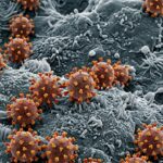 Virus Secrets – Aug 25